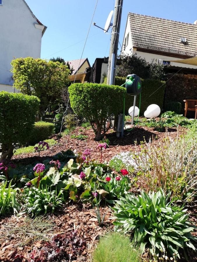 Ferienwohnung Familie Hulse Bannewitz Esterno foto