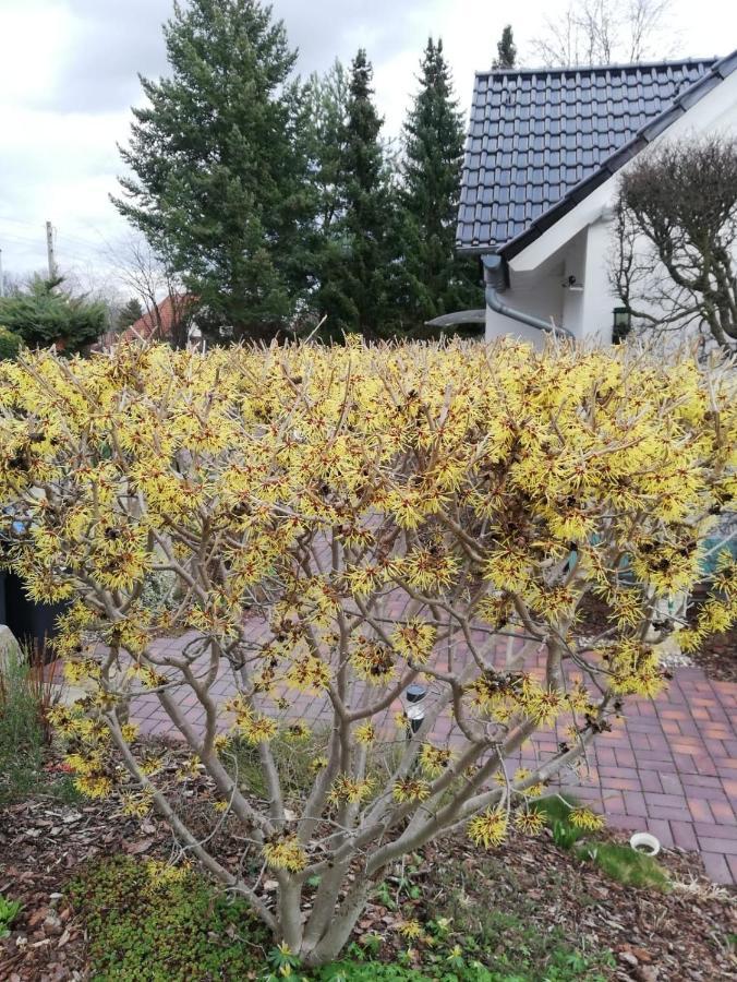 Ferienwohnung Familie Hulse Bannewitz Esterno foto